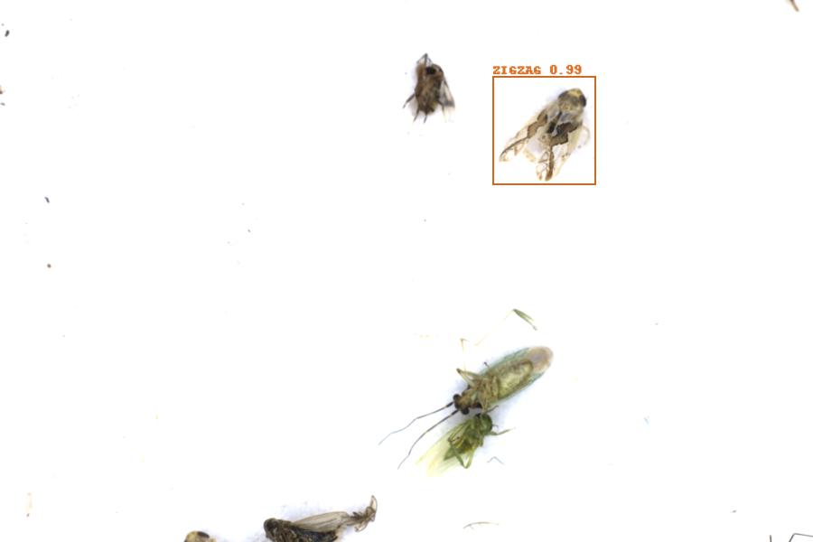 Image 17